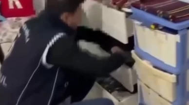 İstanbul'da göçmen kaçakçılığı operasyonunda 15 şüpheli yakalandı