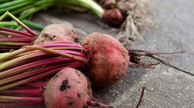 Üreticilerin gözü kulağı bakanlıktaydı: Şeker pancarı fiyatı ile ilgili açıklama yapıldı