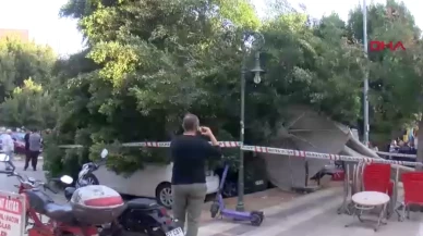 Antalya’da 30 yıllık ağaç park halindeki 5 aracın üzerine devrildi