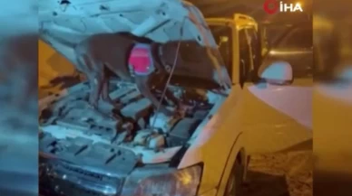 Van’da uyuşturucu ve kaçak malzeme operasyonu: 4 kilo skunk ele geçirildi