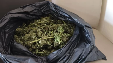 Güvercin kümesinde uyuşturucu ele geçirildi