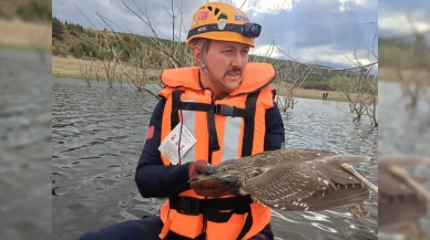 Bursa'da gölette mahsur kalan yabani kuş kurtarıldı