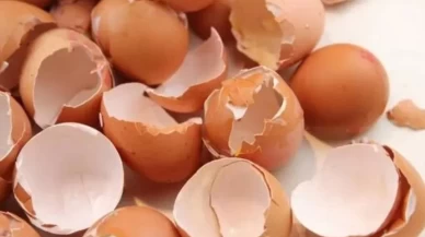 Eklem ve cilt sağlığının gizli kahramanı