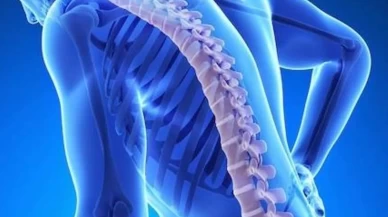 20 Ekim Dünya Osteoporoz Günü’nde kemik sağlığına dikkat çekildi