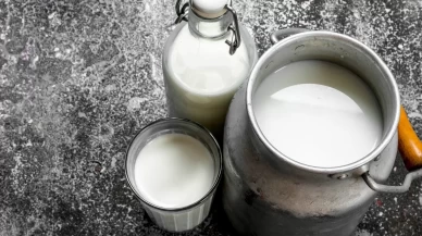 Türkiye’de ağustos ayında inek sütü üretimi yüzde 0,5 azaldı