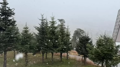 Yüksek kesimlerde kar etkili oldu