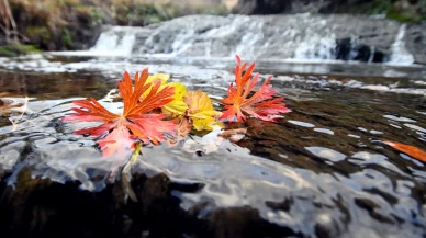 Keklik Vadisi sonbahar renklerine büründü