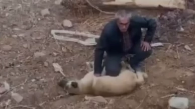 Nefes alamayan köpeğe kalp masajı yaptı!