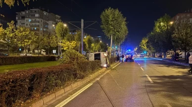 Ağacı devirip yan yattı, yara almadan kurtuldu