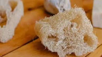 Nedeni şaşırtıyor