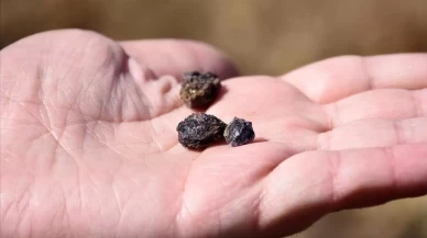 Nadir toprak elementleri Türkiye'nin rekabet gücünü artıracak