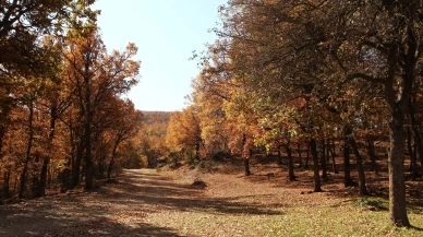 Afyonkarahisar'da doğa görsel şölen oluşturdu
