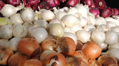 Soğan çeşitleriyle mutfaklarınızı renklendirin