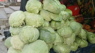 Muş lahanaları Diyarbakır'da tezgahlarda yerini aldı