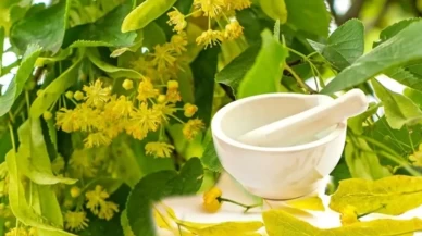 Süt ve ıhlamurun ciltte yarattığı şaşırtıcı etki