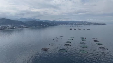 Karadeniz'den 31 ülkeye 278,7 milyon dolarlık su ürünü ihracatı