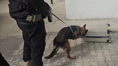 Erzincan’da yolcu otobüsünde 6 bin 335 uyuşturucu hap ele geçirildi