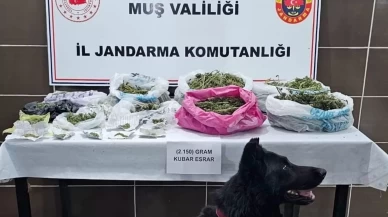 Muş’ta uyuşturucu operasyonu: 1 gözaltı