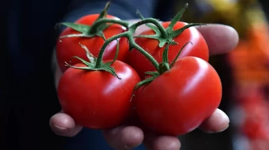 Kansızlıkla mücadelede C vitamini ve antioksidan gücü