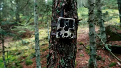 Ormanlar yapay zeka destekli 2 bin 800 fotokapanla 7/24 gözleniyor