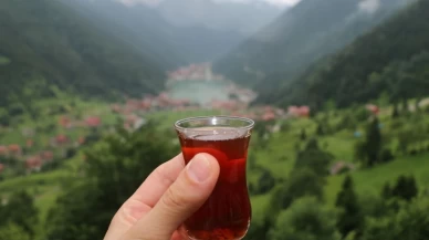 O eksik lezzetin nedeni meğer buymuş