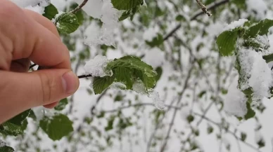 Zirai don bekleniyor