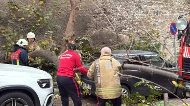 İstanbul’da şiddetli rüzgar etkili oldu: Ağaçlar ve direkler araçların üstüne devrildi