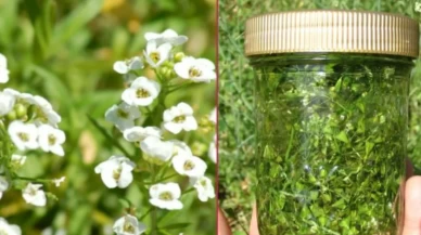 Yeniden doğmuş gibi olacaksınız