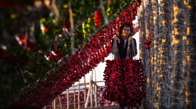 Gaziantep sebze kurutmalıkları küresel lezzet haline geldi