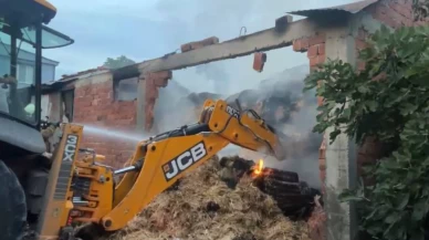 4 büyükbaş hayvan telef oldu