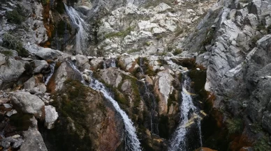 Suyu kalmayan Bursa'nın Uludağ'daki pınarları da alarm veriyor