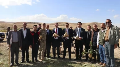 Tutak'ta şeker pancarı hasadı başladı