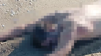 Sakarya'da kumsalda çıplak erkek cesedi bulundu