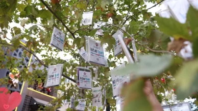 Kitaplar yine ağaçlarda açtı!