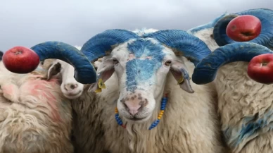 Kars’ta “çoban bayramı” renkli görüntülere sahne oldu