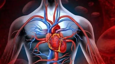 Kanınızı bu otla yenileyin