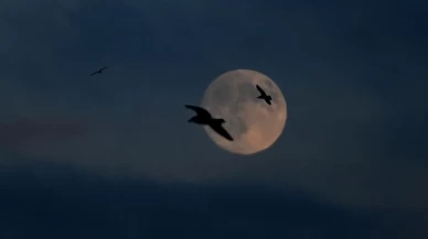 İstanbul gecesi Dolunayla büyülendi!