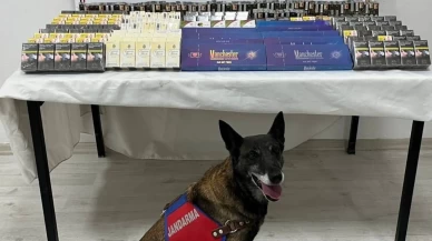 Kayseri’de jandarmadan kaçak sigara operasyonu