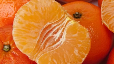 Fiyatlar yüzde 30 düştü, vatandaşın ilgisi arttı