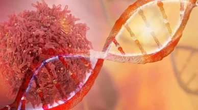 Ölümcül hastalıkların gizemi çözüldü