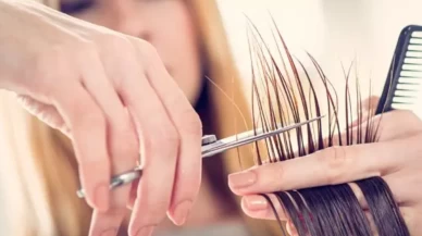 Cevap beklediğinizden çok daha çarpıcı