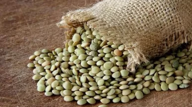 Yeşil mercimek ve yulaf ithalatında gümrük vergileri indirildi