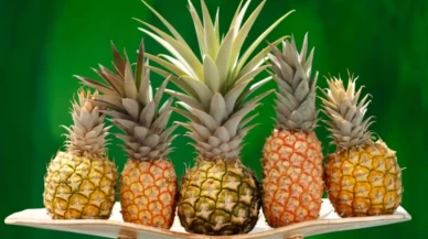 Ananas ailesi sandığınızdan daha kalabalık