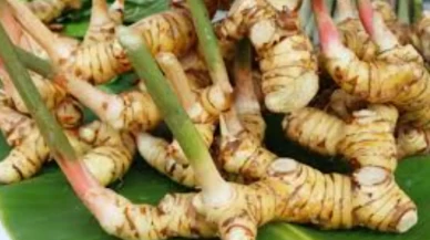 Baş ağrısına doğal çözüm arayanlara şifa oluyor