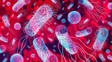 ABD'de listeria bakterisi 6 can aldı