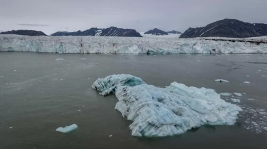 Antarktika’da balıkların yaptığı geometrik desenler keşfedildi