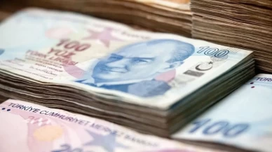 Engelli kadın ve gençlere istihdamda rekor destek