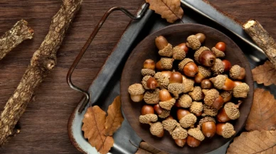 Dermatologlar tavsiye ediyor!