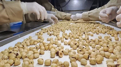 Düzce'den AB ülkelerine 15 bin 750 ton iç fındık ihraç edildi