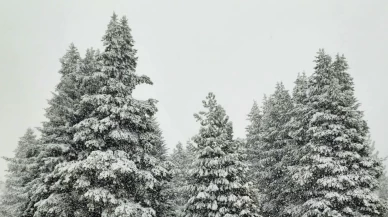 Türkiye’nin yüksek kesimlerinde kar etkili: Beyaz örtü geniş alanları kapladı